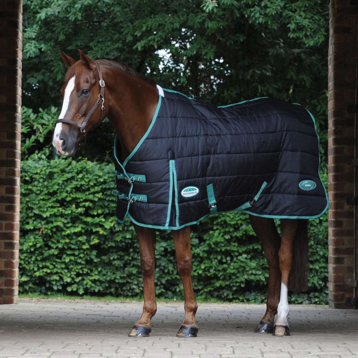 Weatherbeeta Stable Rug Green-Tec Stable Medium/Lite 150D 150g Black/Bottle Green