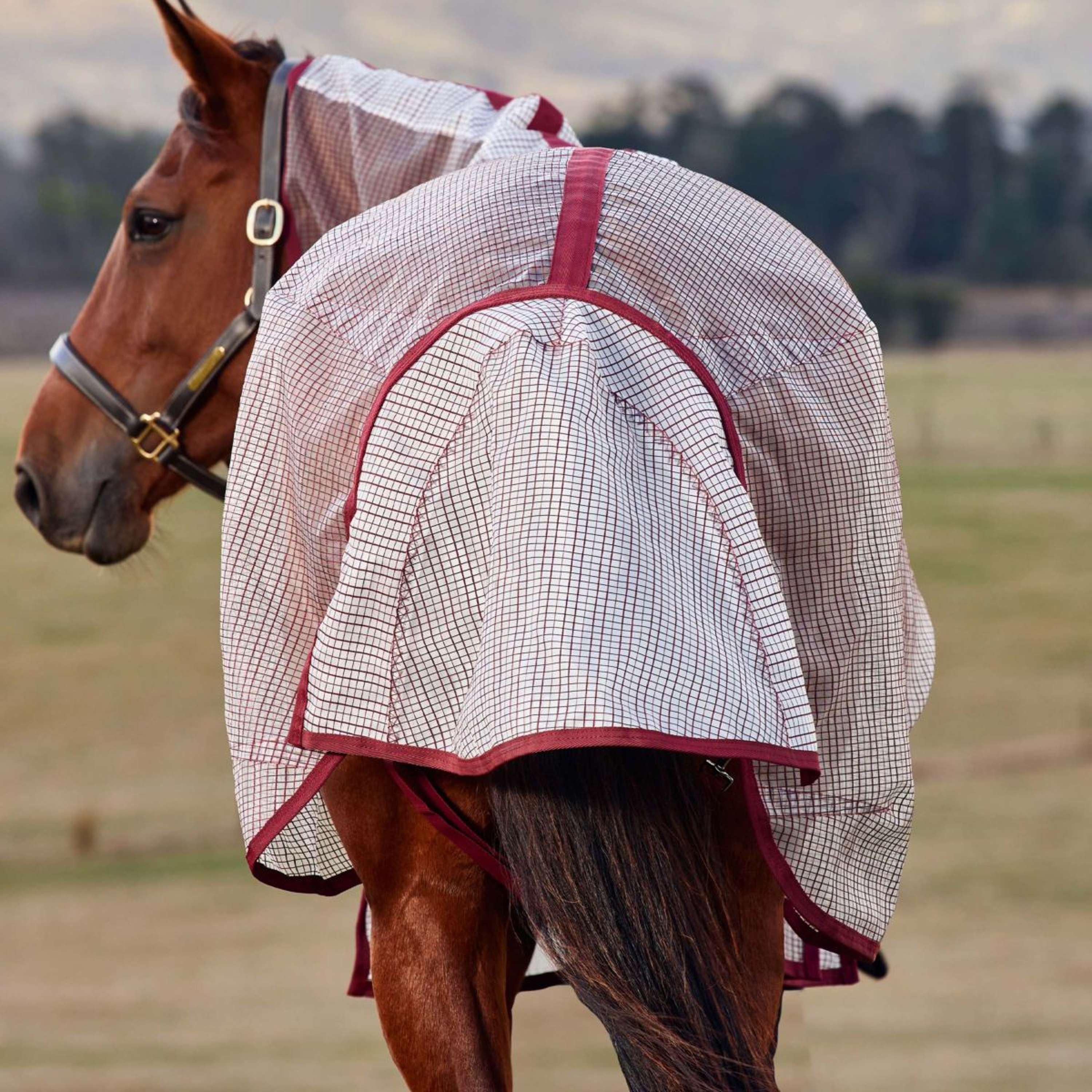 WeatherBeeta Fly Rug ComFiTec Ripshield Detach-A-Neck White/Burgundy