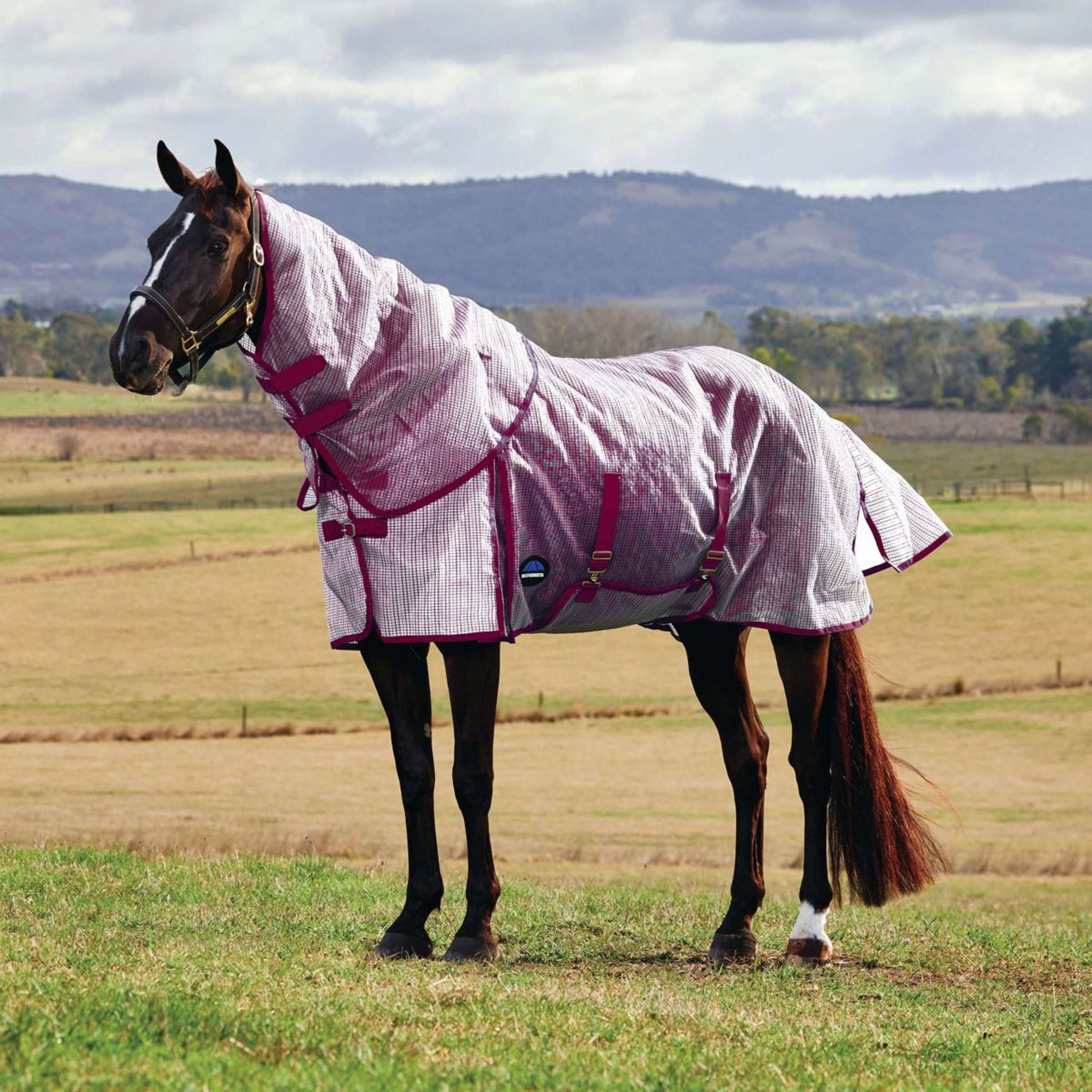 WeatherBeeta Fly Rug ComFiTec Ripshield Detach-A-Neck White/Burgundy