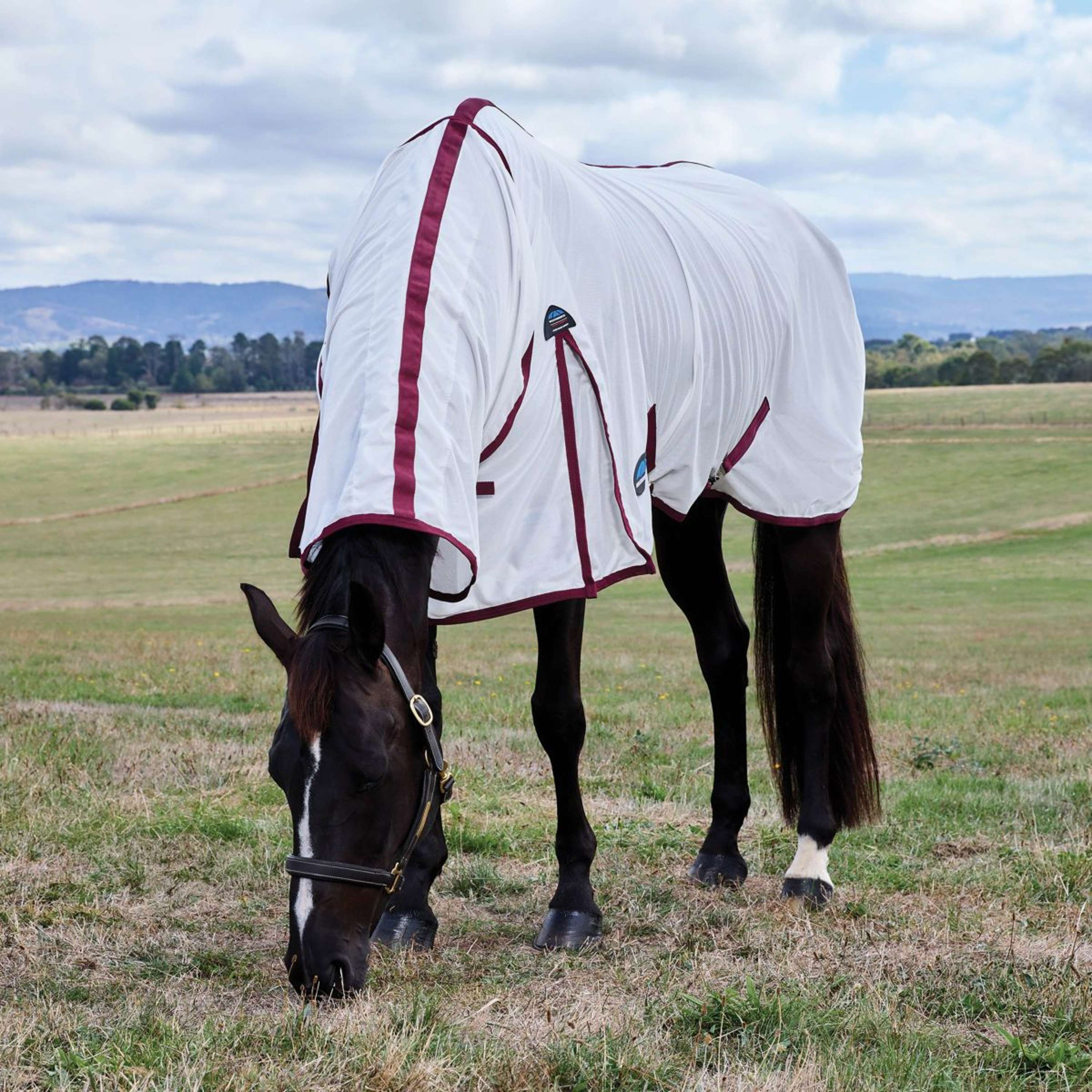 WeatherBeeta Fly Rug ComFiTec Essential Combo White/Burgundy