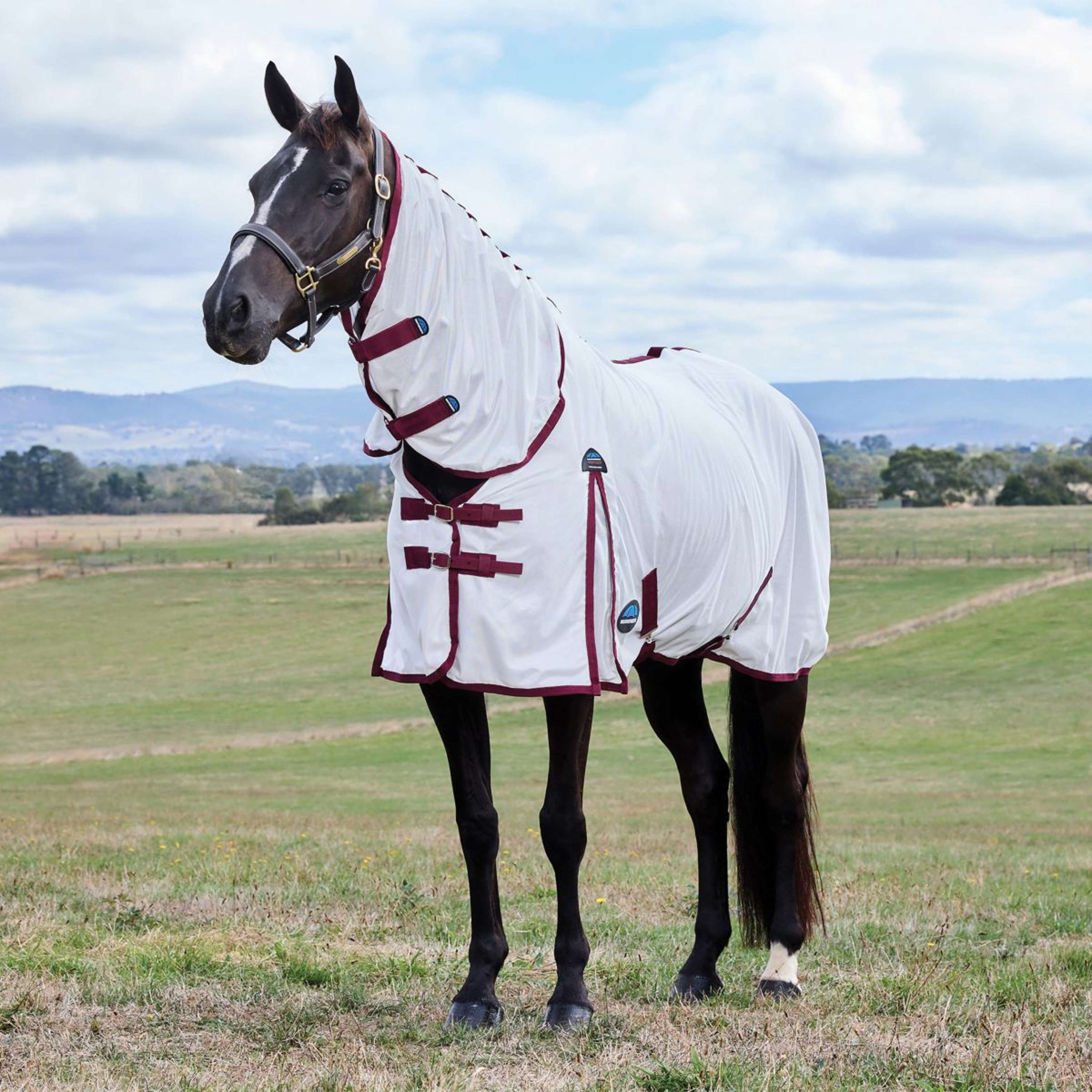 WeatherBeeta Fly Rug ComFiTec Essential Combo White/Burgundy