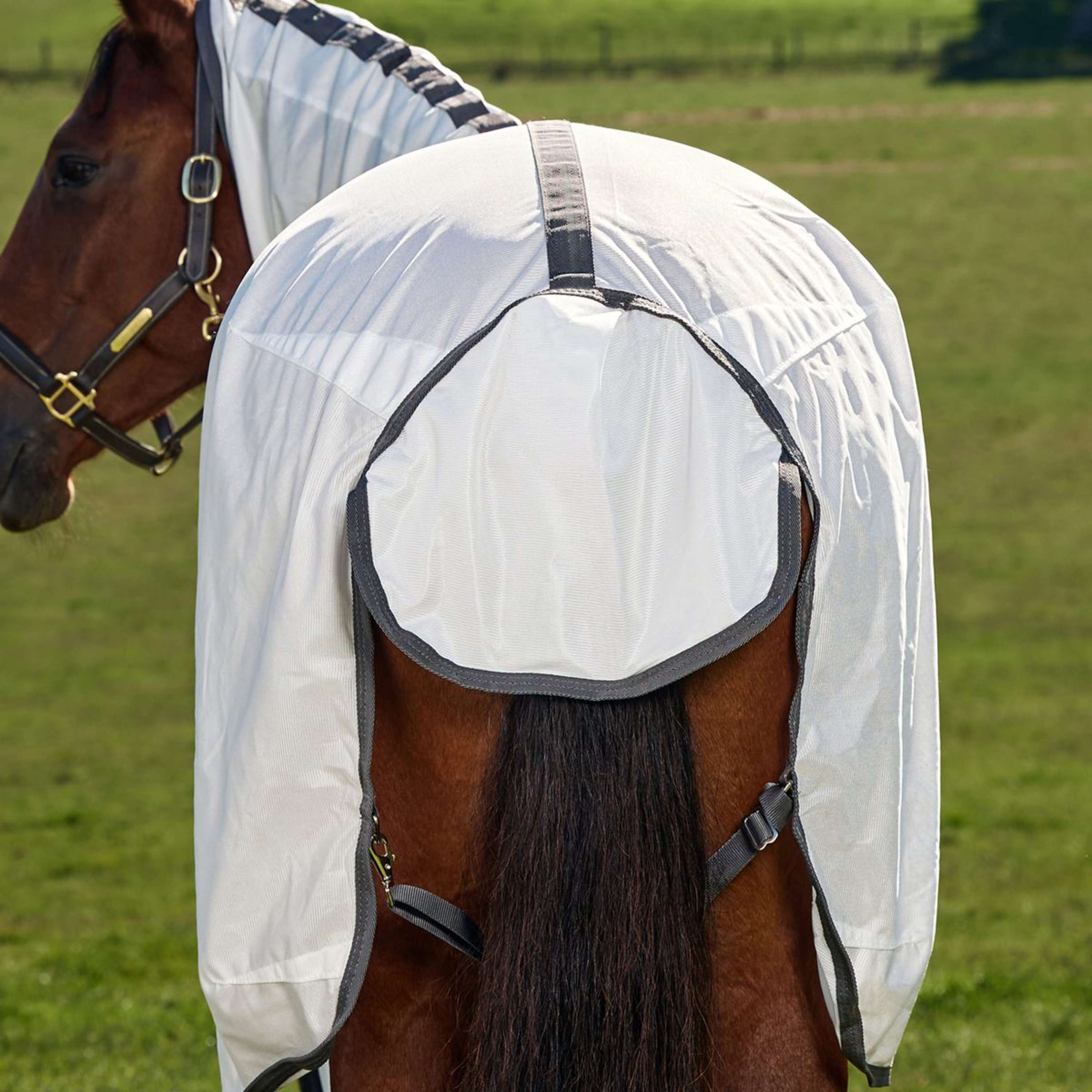WeatherBeeta Fly Rug ComFiTec Tyro Combo White/Charcoal