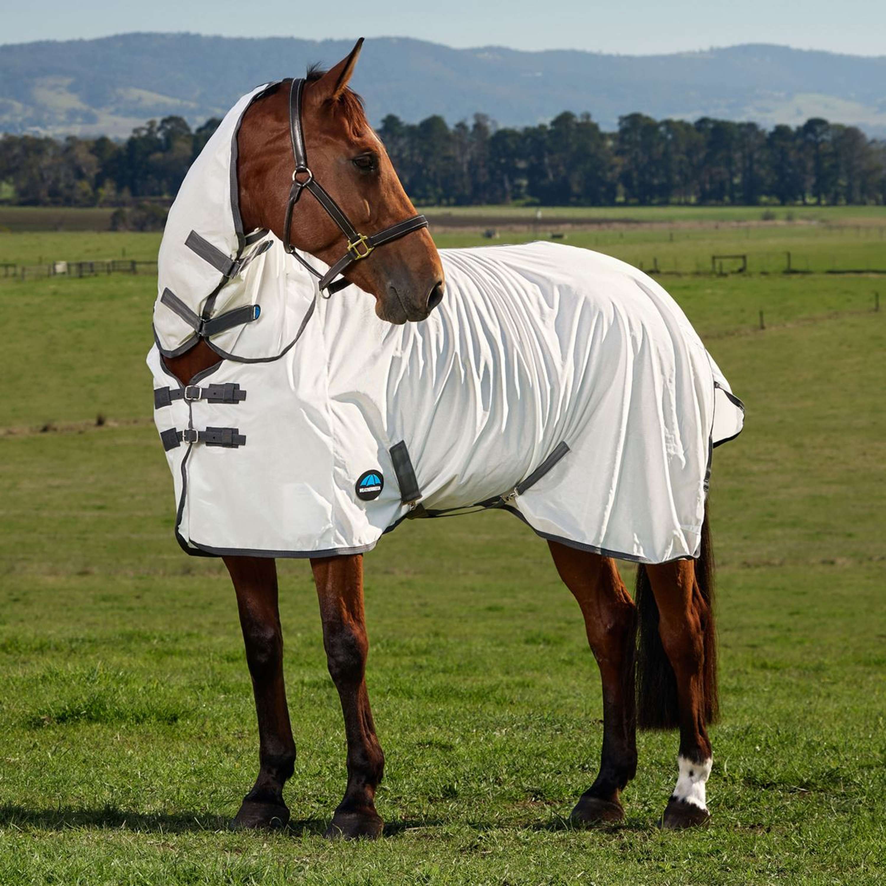 WeatherBeeta Fly Rug ComFiTec Tyro Combo White/Charcoal