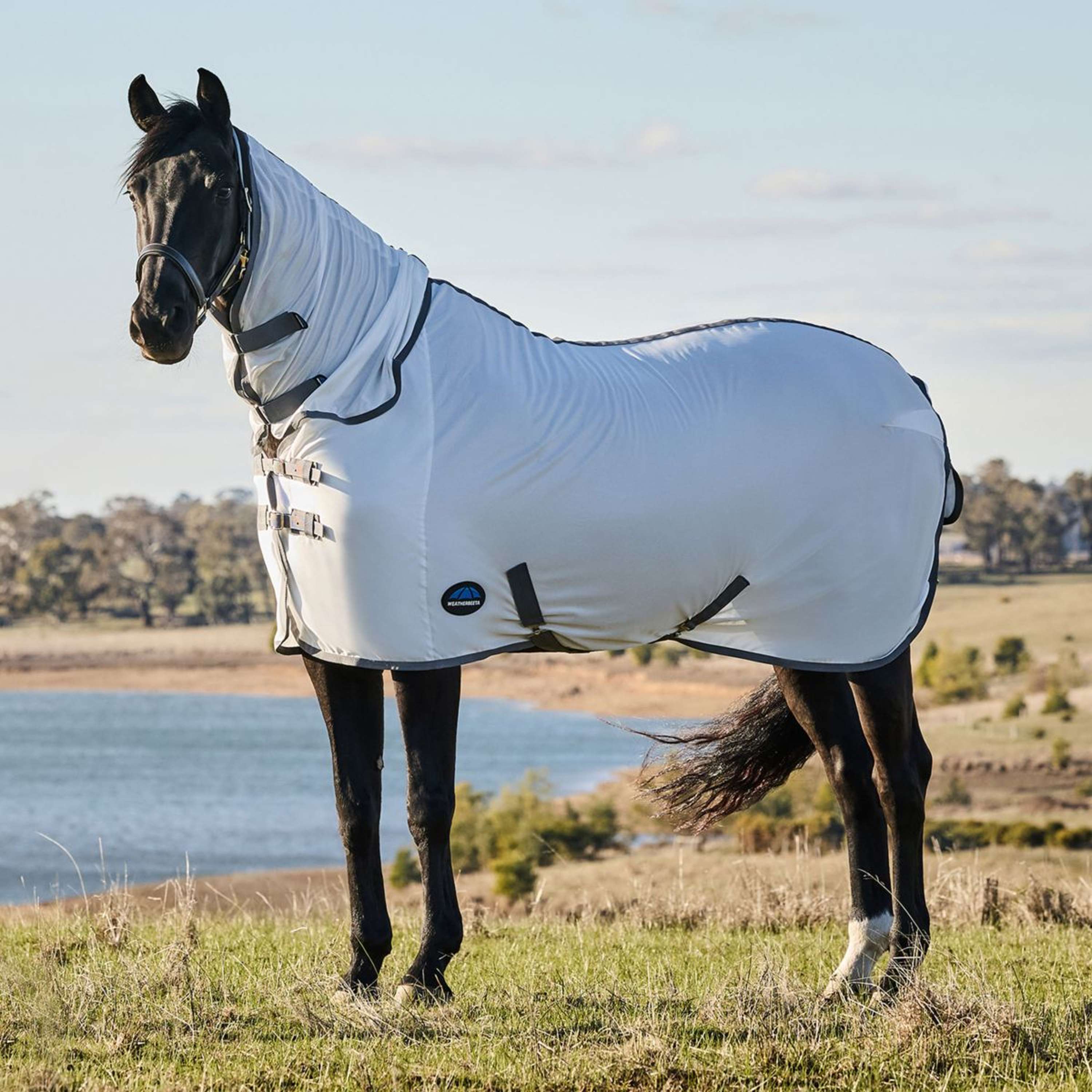 WeatherBeeta Fly Rug ComFiTec Tyro Combo White/Charcoal