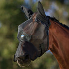 WeatherBeeta Fly Mask ComFiTec Guard with Ears and Nose Black