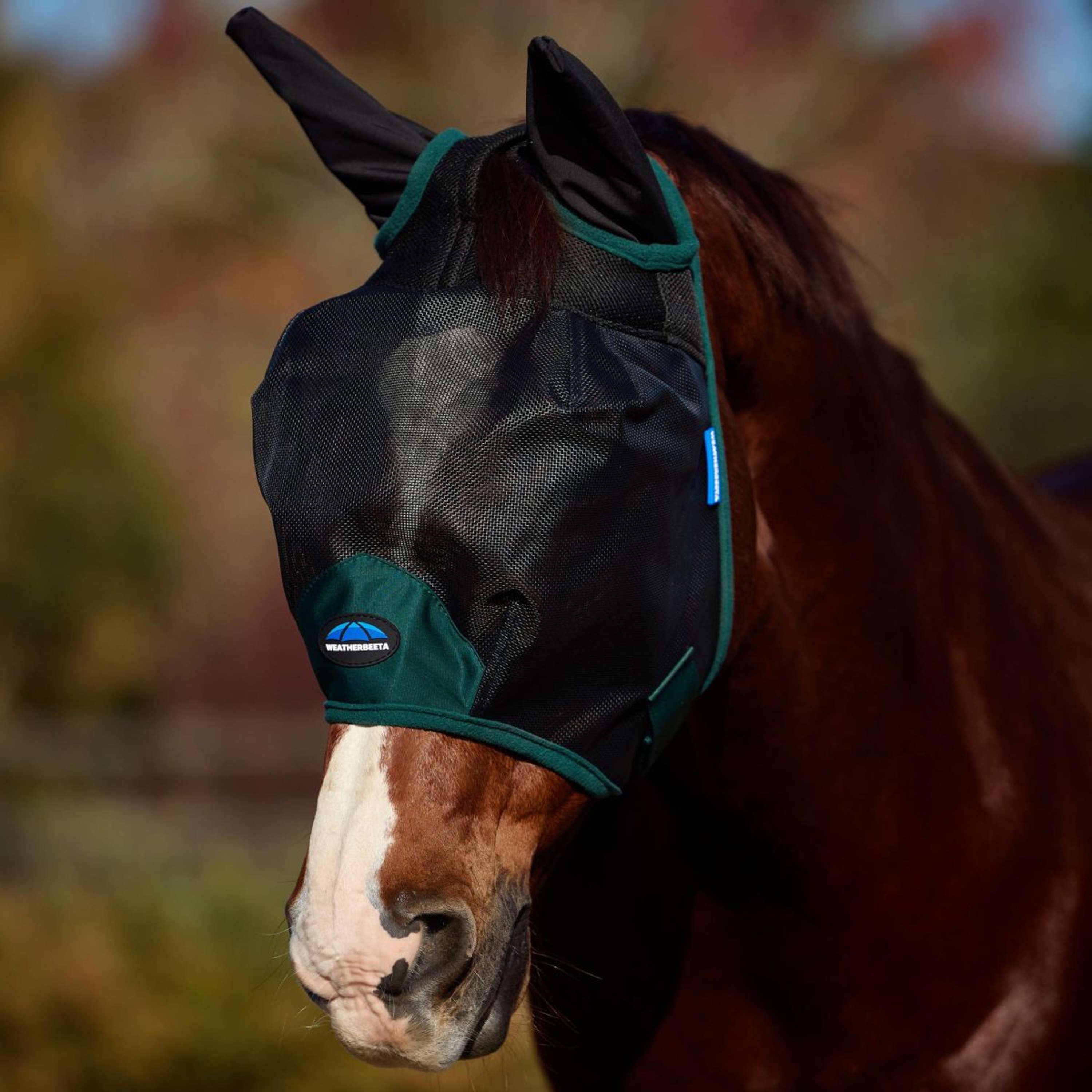 Eta Null WeatherBeeta Fly Mask ComFiTec Durable with Ears Black/Forest Green ...