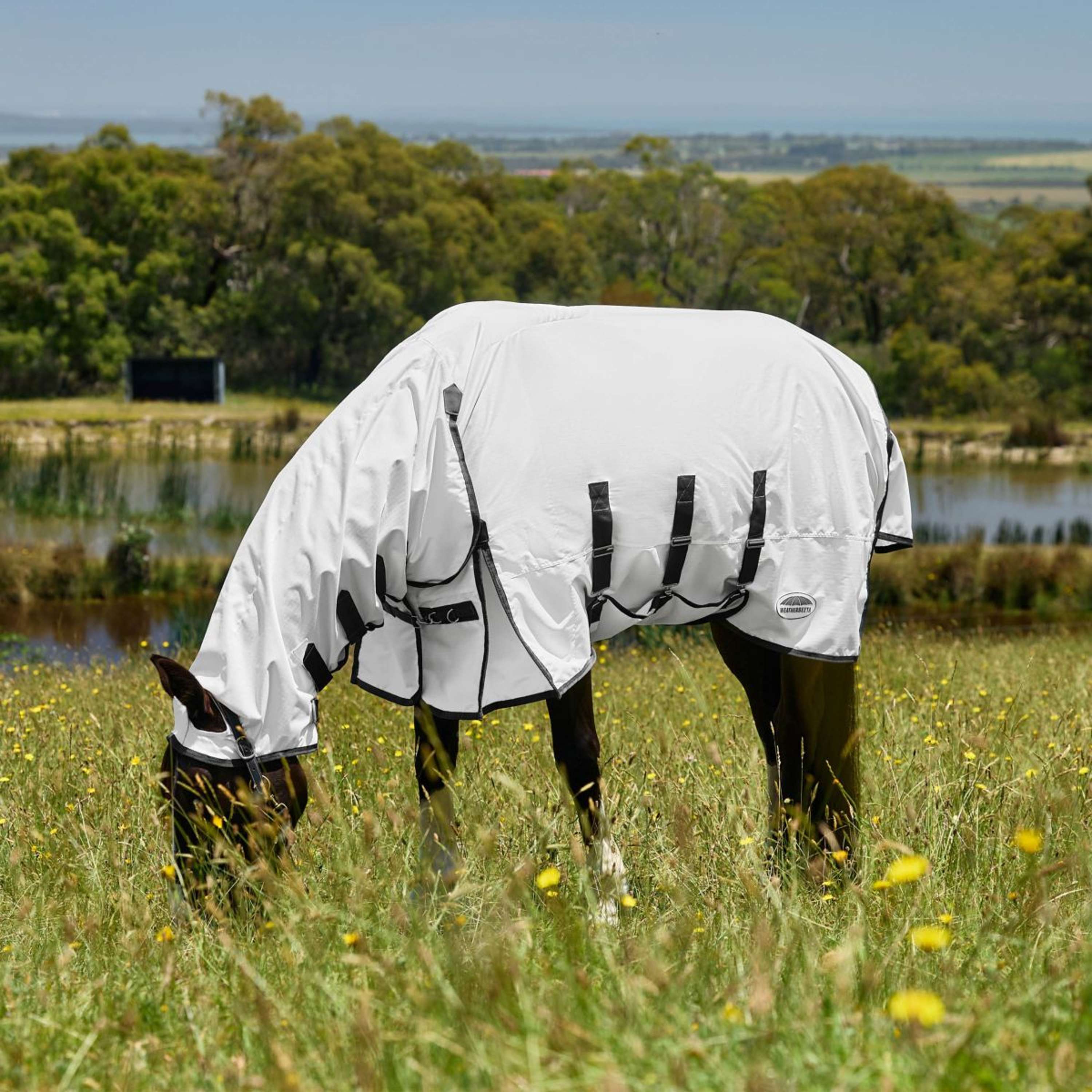 WeatherBeeta Eczema Rug ComFiTec Sweet Itch Combo White/Charcoal