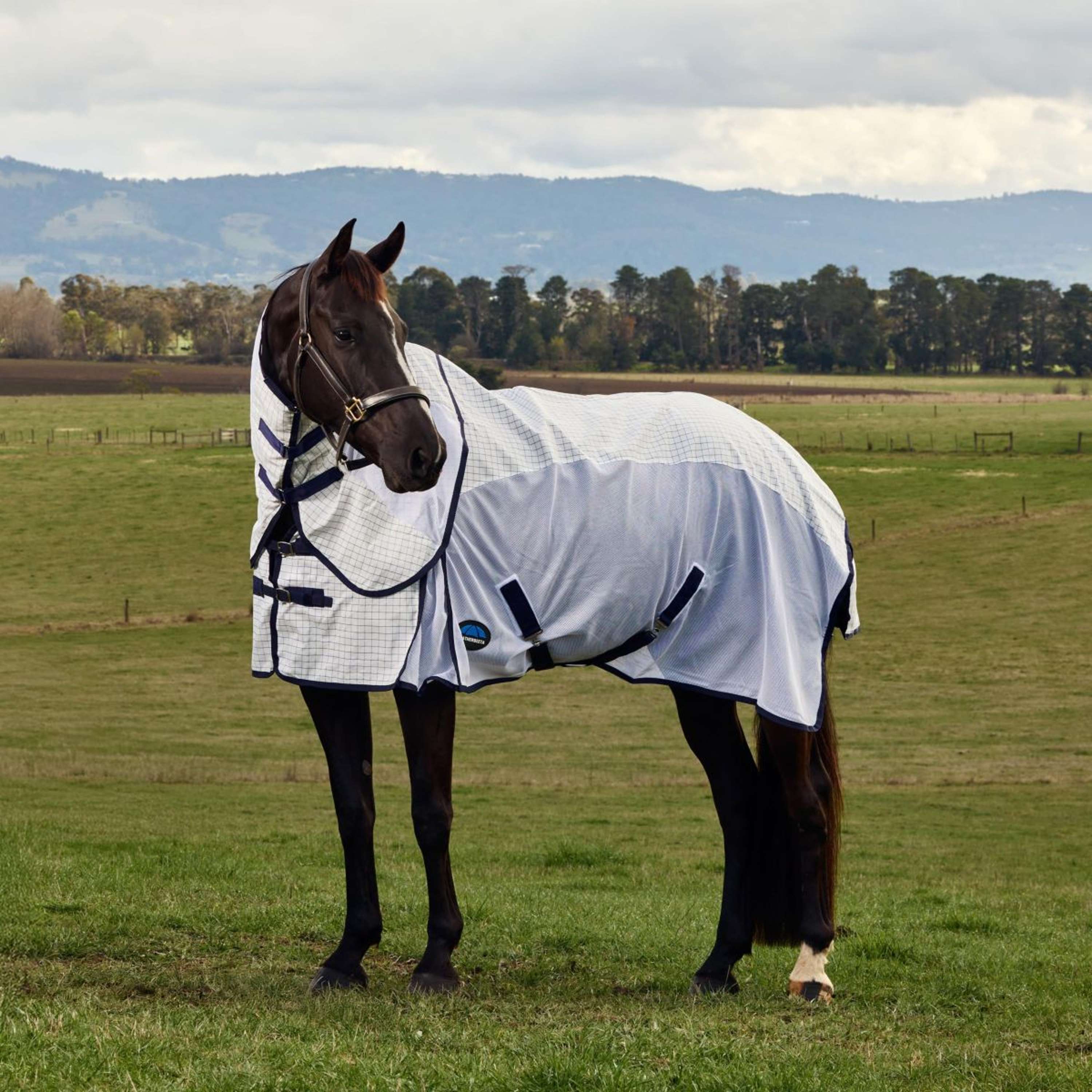 WeatherBeeta Summer Rug Airstream Combo White/Navy