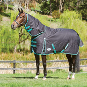 Weatherbeeta Winter Rug Green-Tec 900D Detach-A-Neck Lite Plus 50g Black/Green