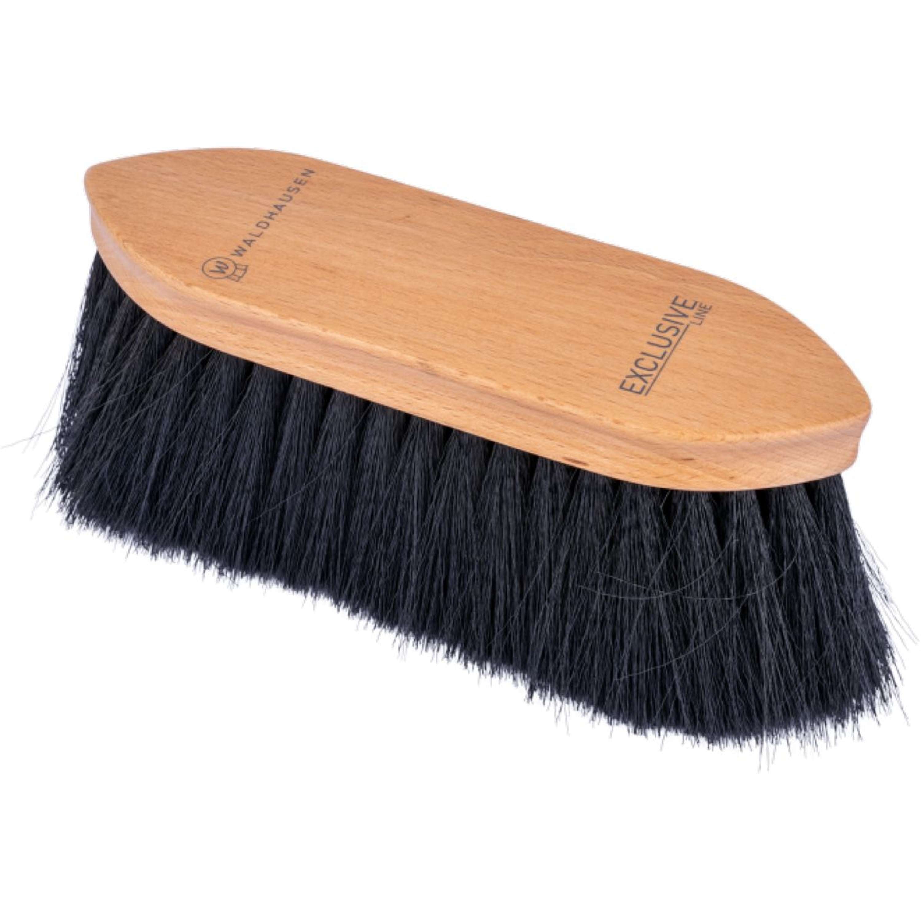 Waldhausen Hard Brush Exclusive 2.0