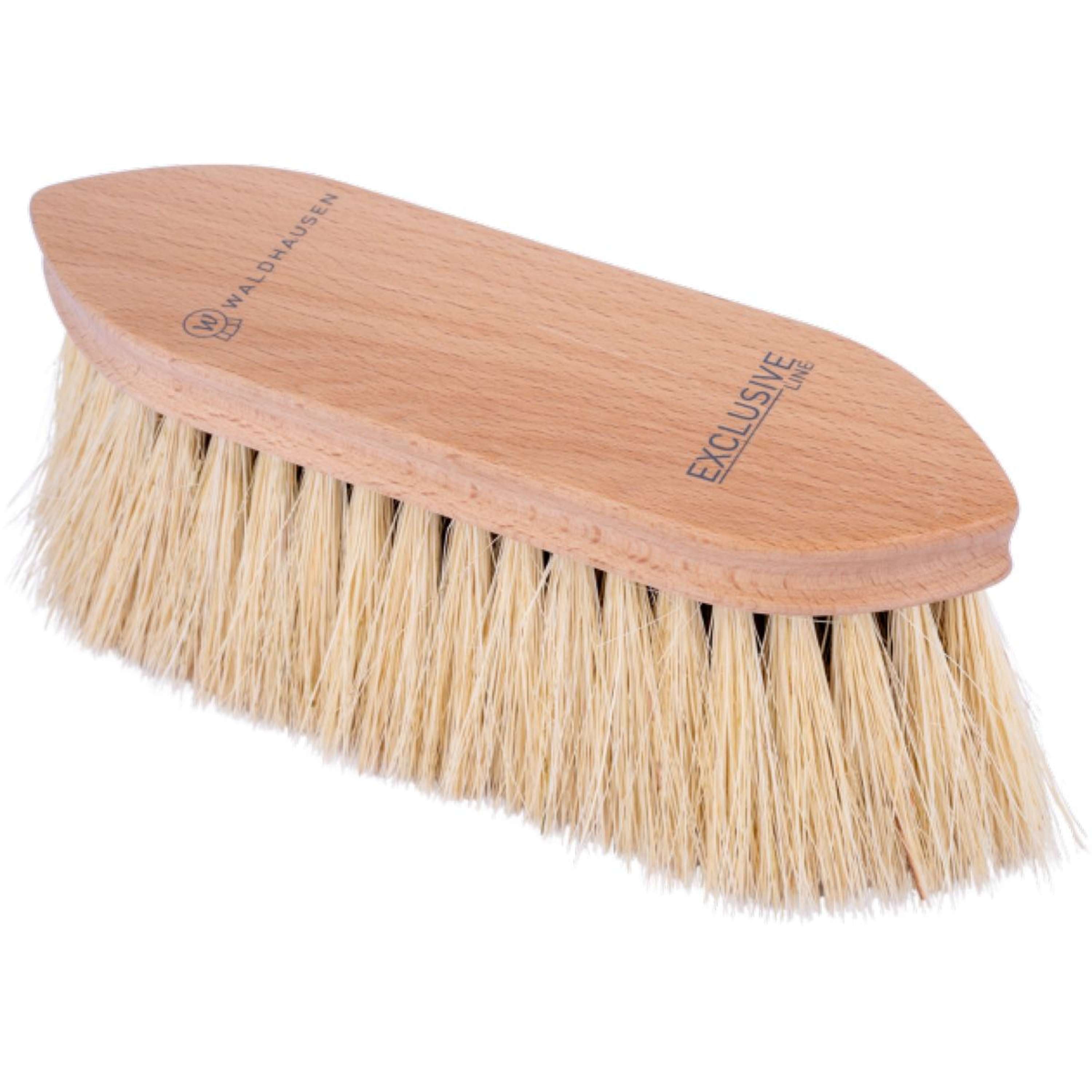 Waldhausen Hard Brush Exclusive 3.0