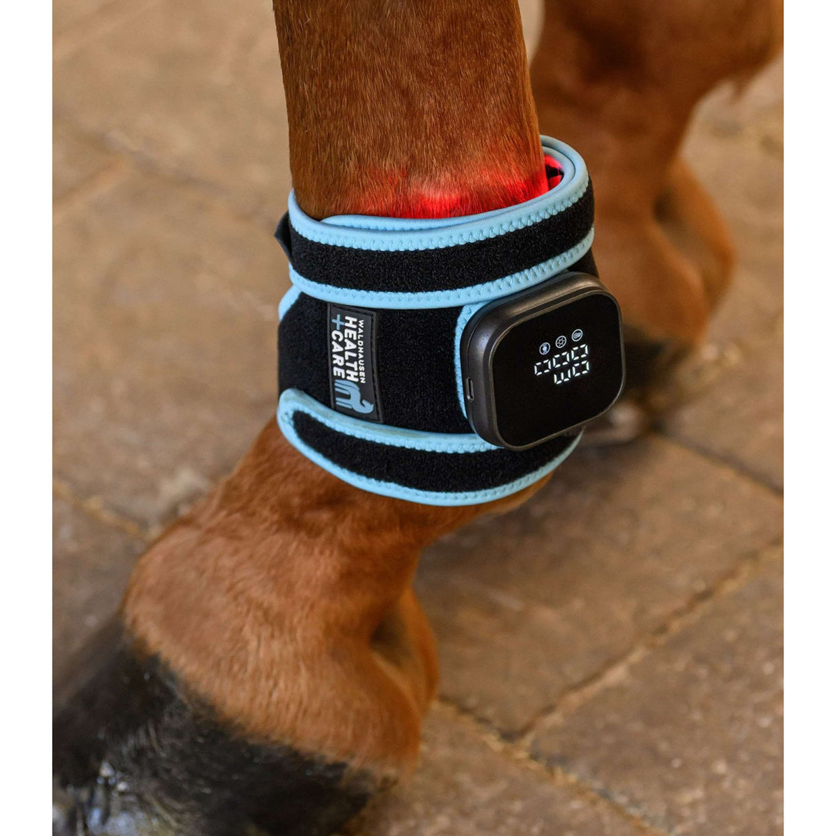 Waldhausen Health + Care Infrared FlexPad Black