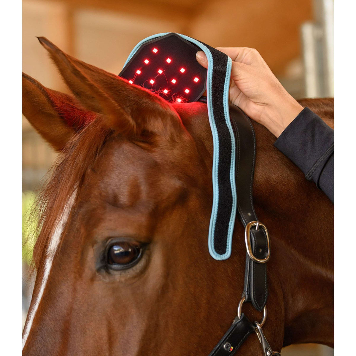 Waldhausen Health + Care Infrared FlexPad Black