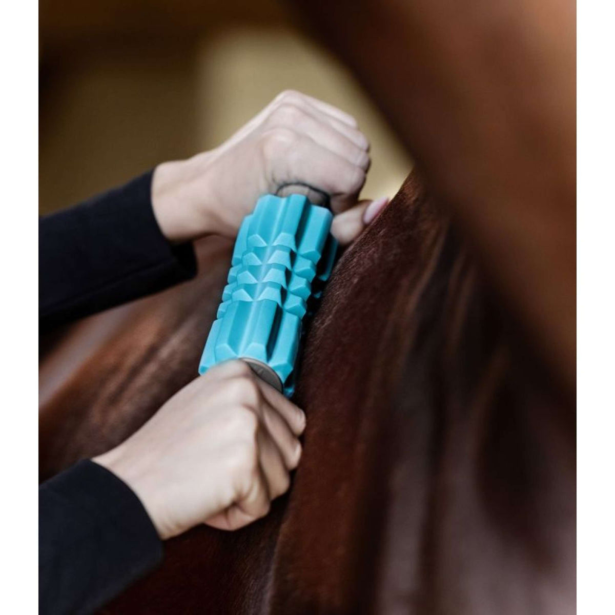 Waldhausen Health + Care Massage Brush Faszien Fit Grey/Blue