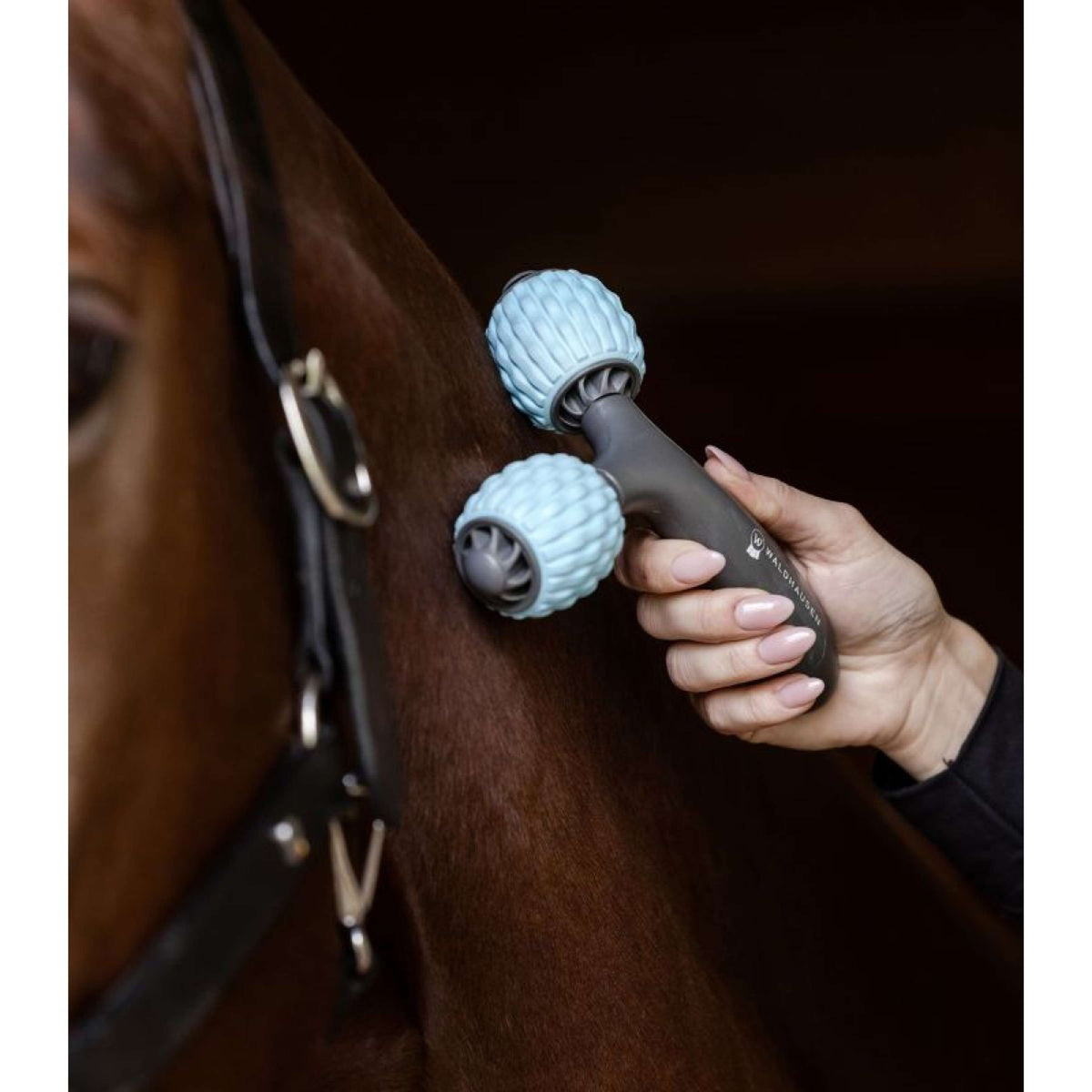 Waldhausen Health + Care Massage Brush Comfort Creator Grey/Blue