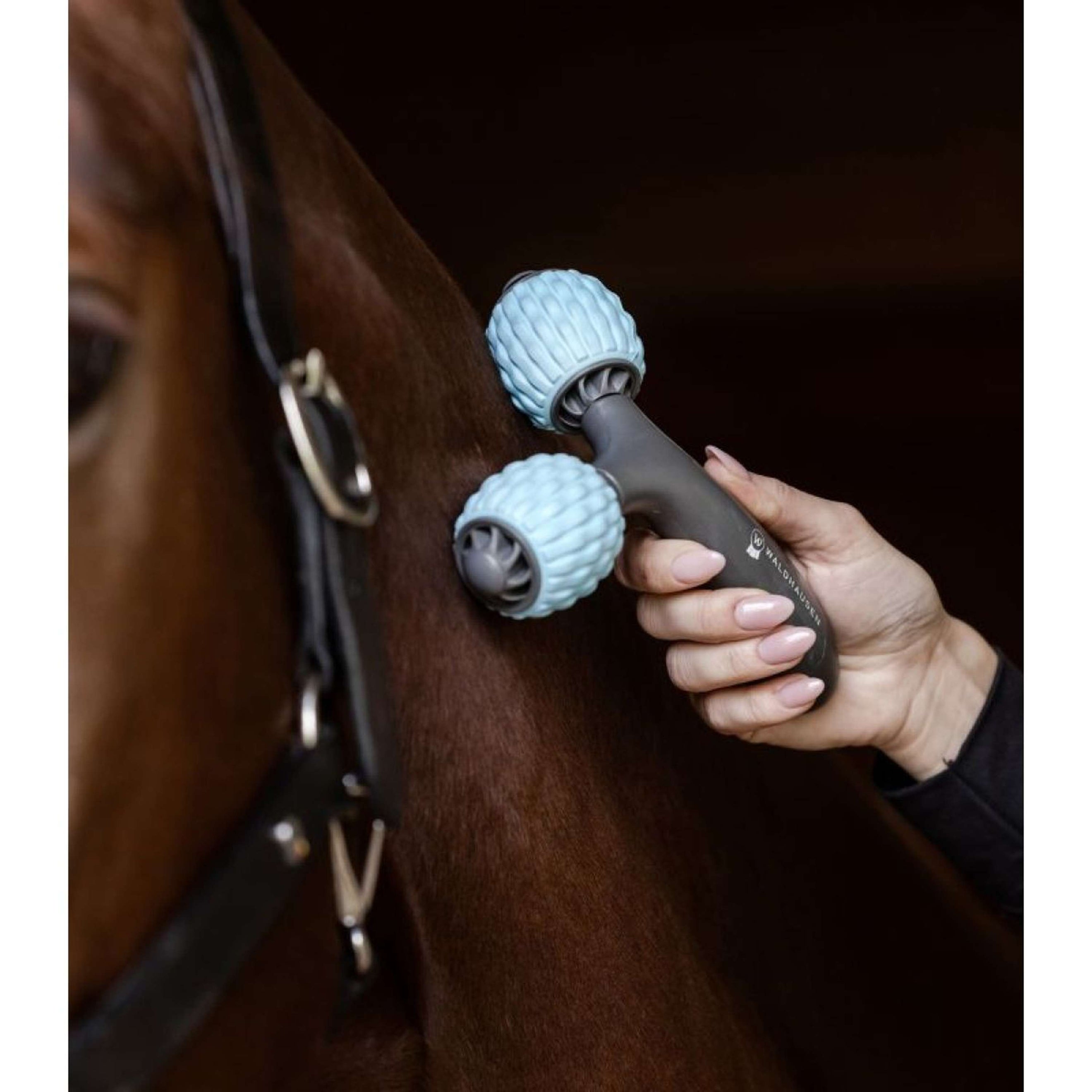 Waldhausen Health + Care Massage Brush Comfort Creator Grey/Blue