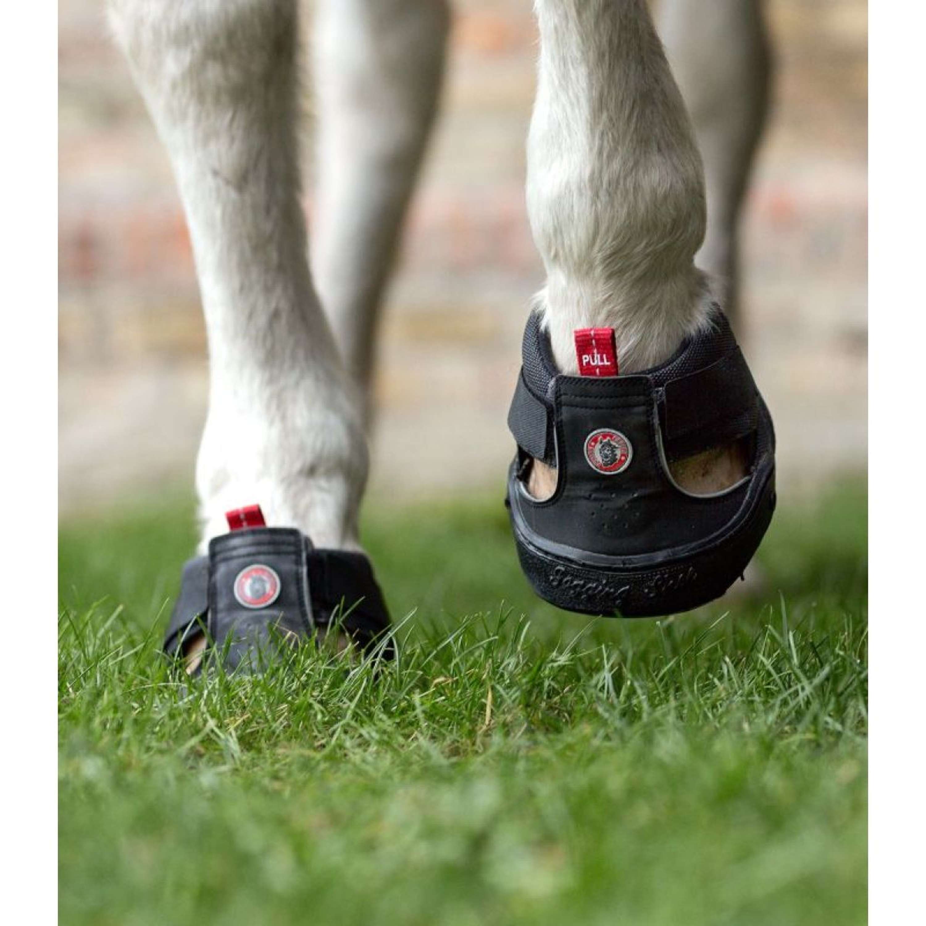 Equine Fusion Horse Shoe Trekking Black