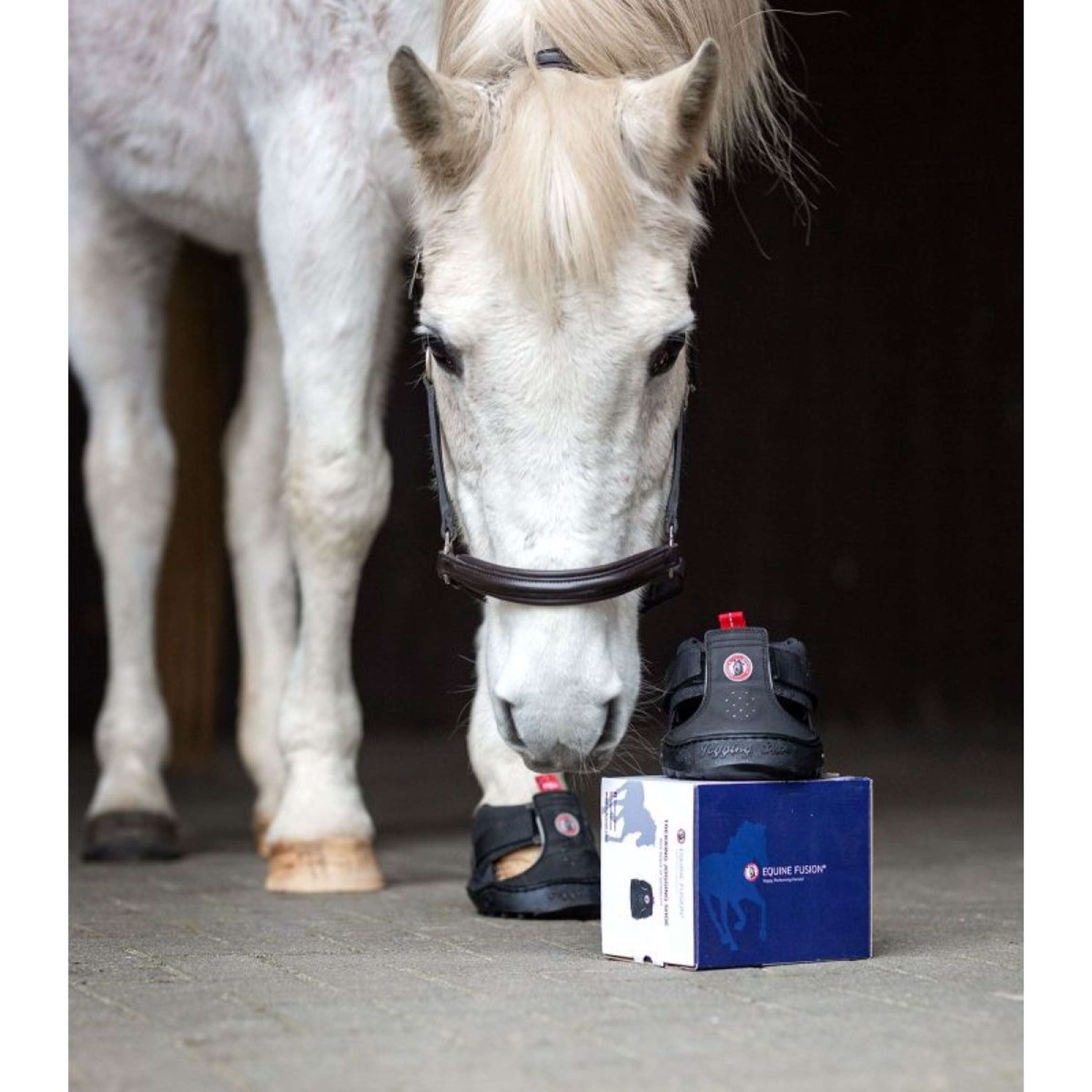 Equine Fusion Horse Shoe Trekking Black