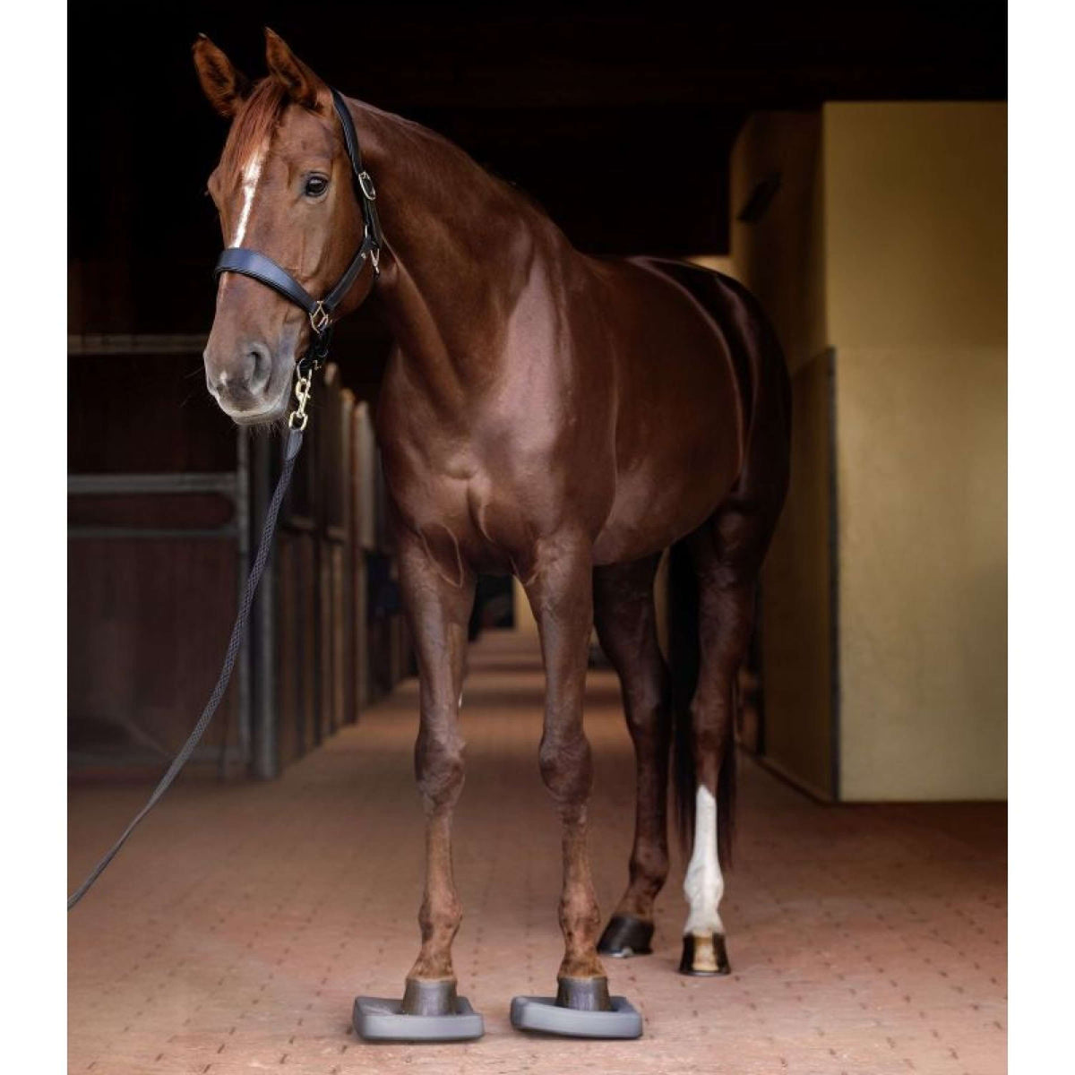 Waldhausen Health + Care Balance Pads Grey