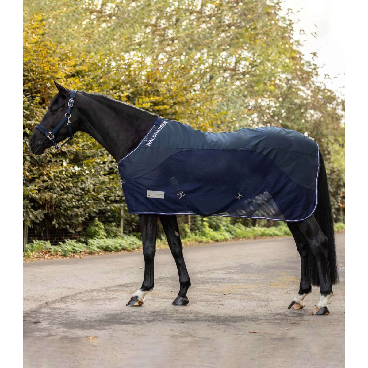 Waldhausen Fly Rug Comfort Waterproof Back Nightblue