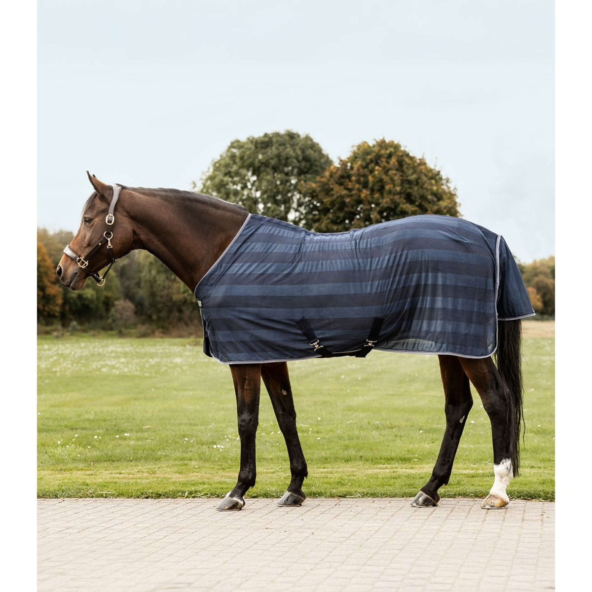Waldhausen Fly Rug Economic 2.0 Night Blue