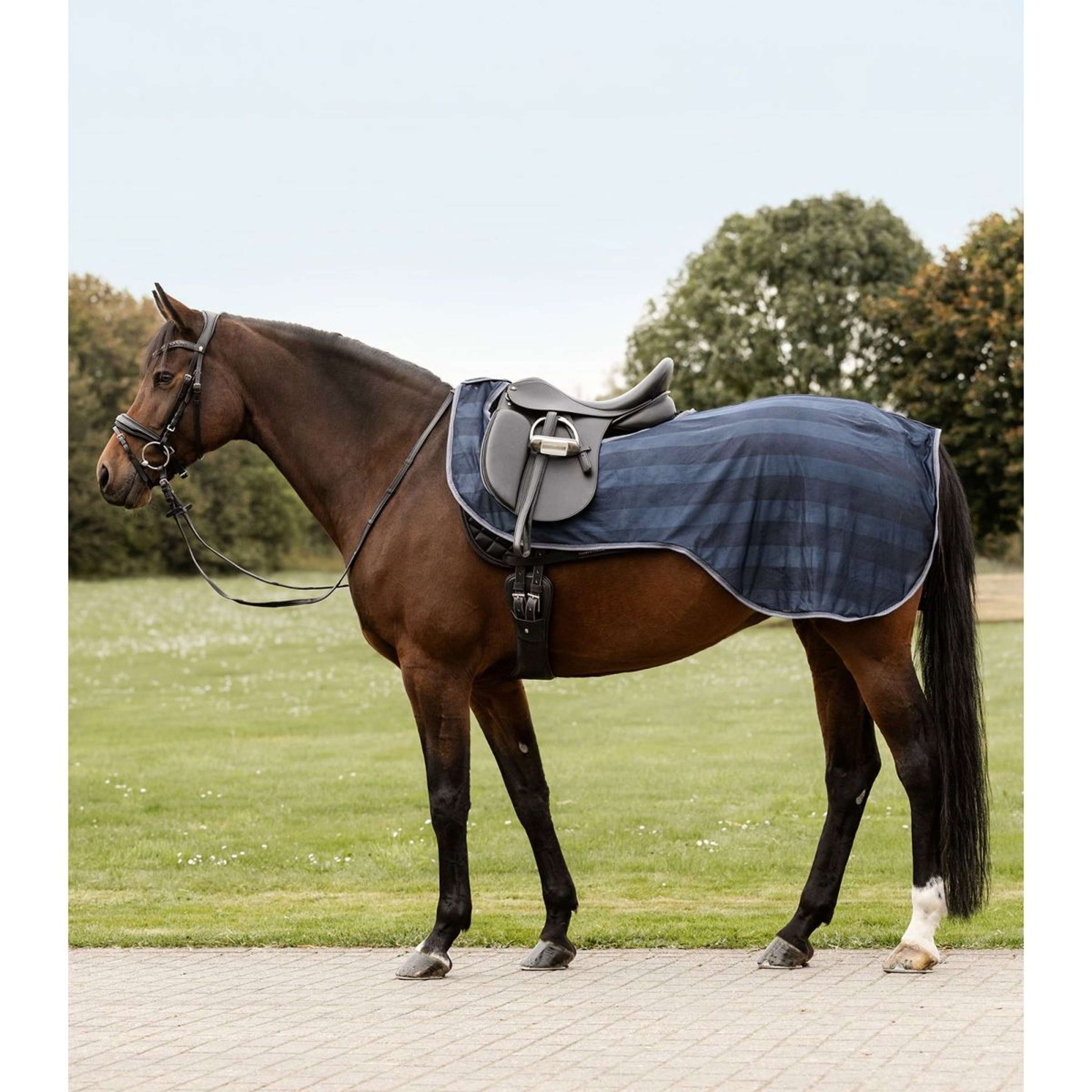 Waldhausen Anti-fly Riding Rug Economic Night Blue Waldhausen Anti-fly Riding Rug Economic Night Blue