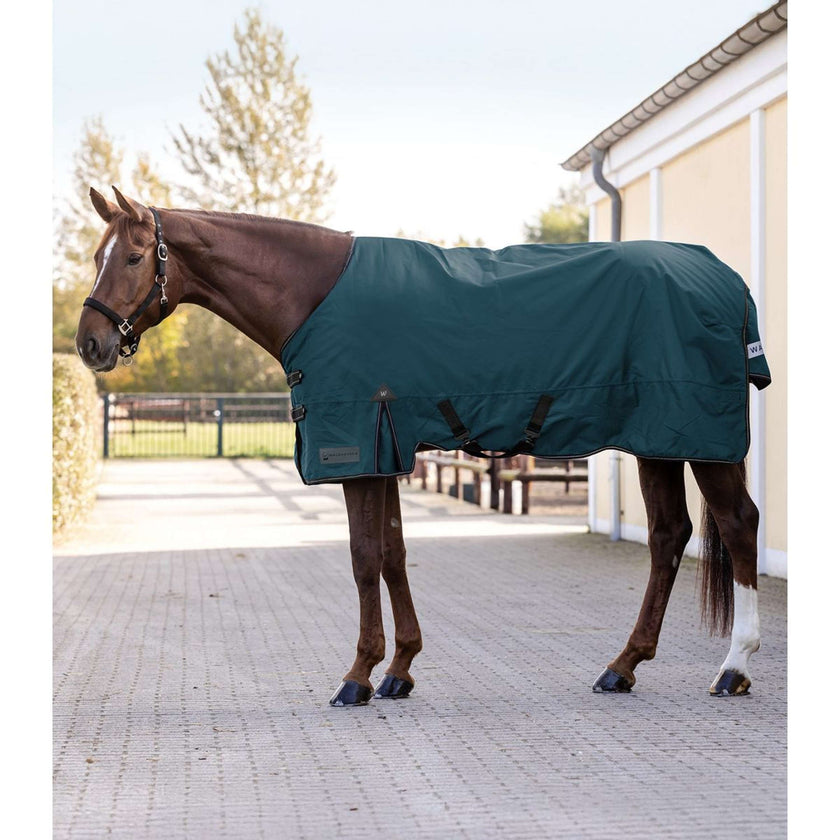 Waldhausen Outdoor Rug Arctic 100g Petrol Blue Waldhausen Outdoor Rug Arctic 100g Petrol Blue