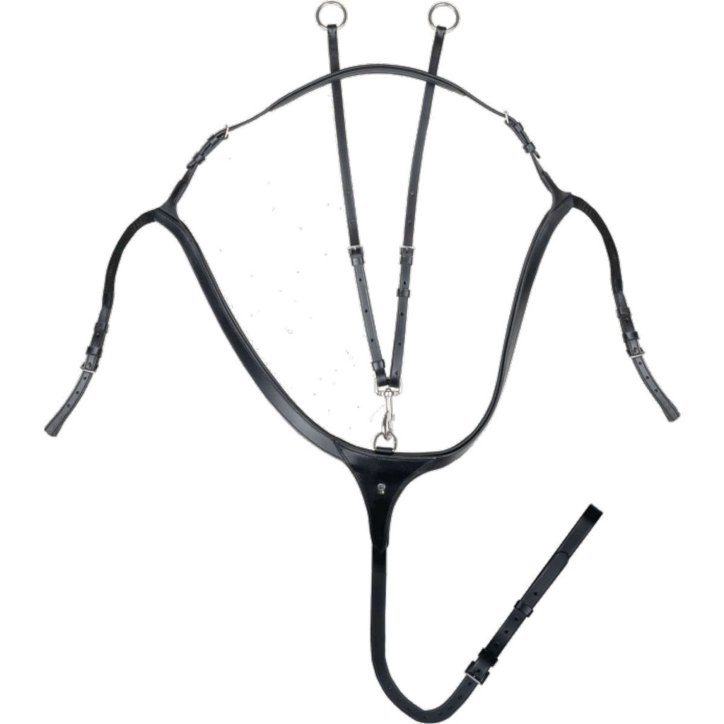 Waldhausen Martingale X-Line Black