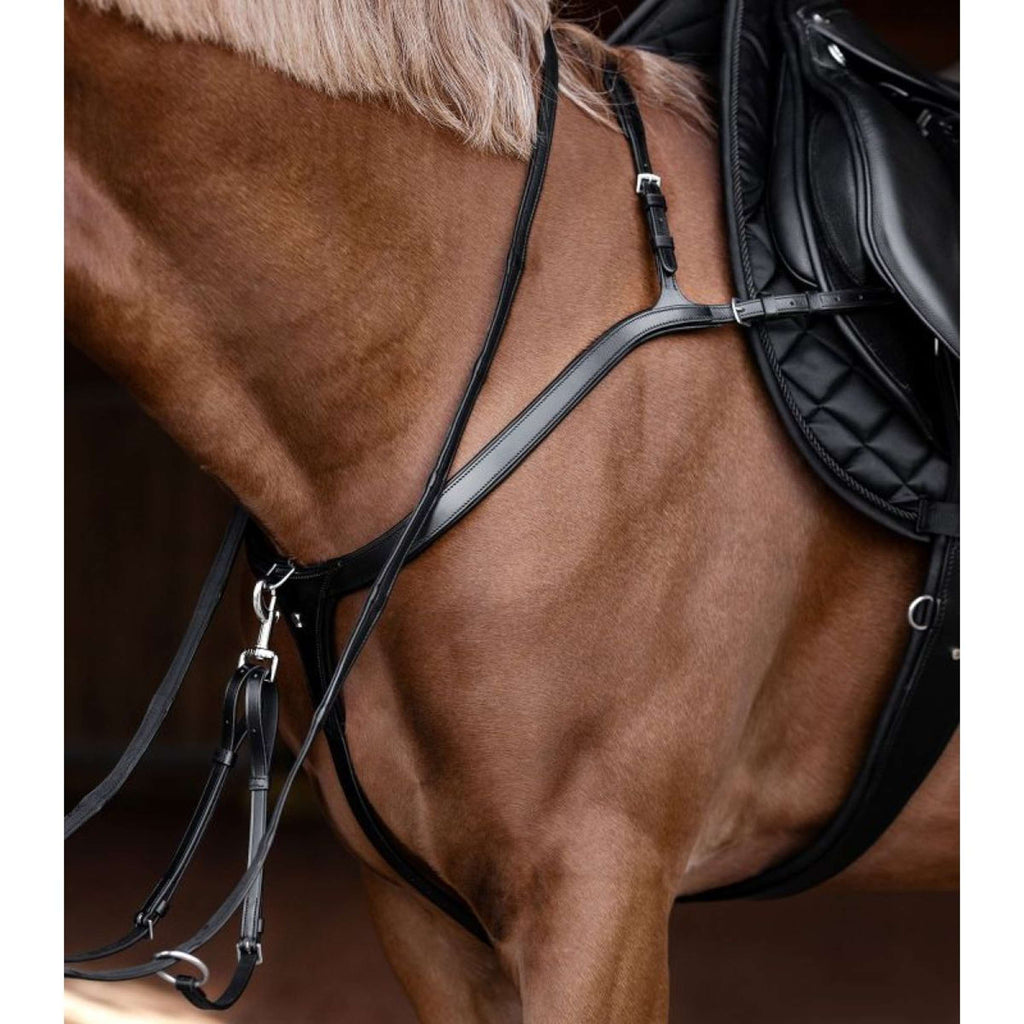 Waldhausen Martingale X-Line Brown