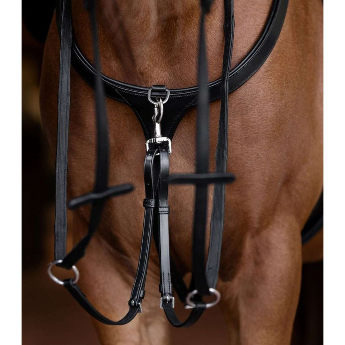 Waldhausen Martingale X-Line Brown