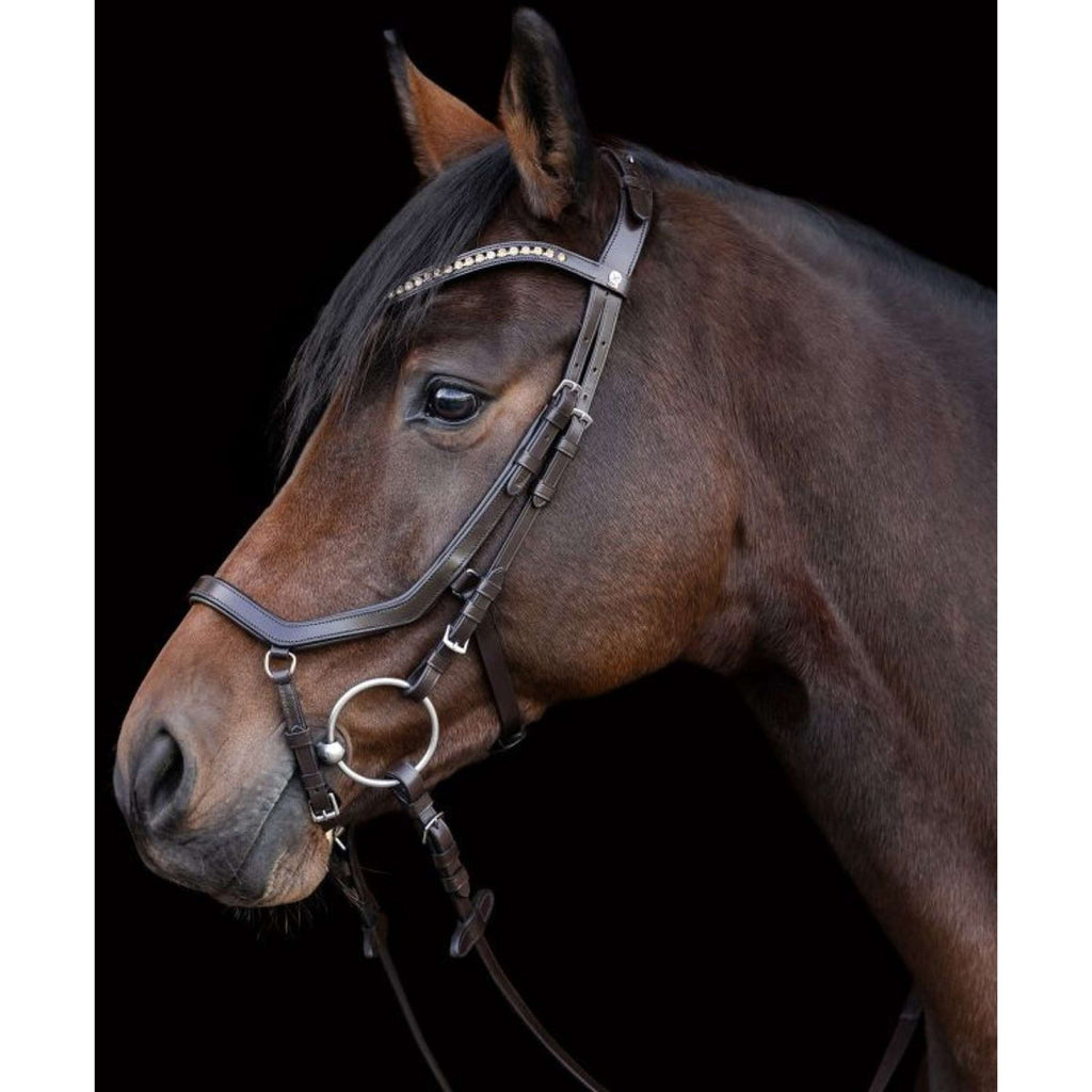 Waldhausen Bridle X-Line Relaxation Brown