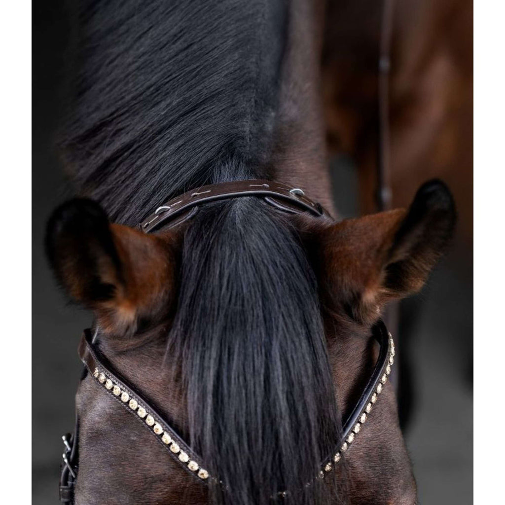 Waldhausen Bridle X-Line Relaxation Brown