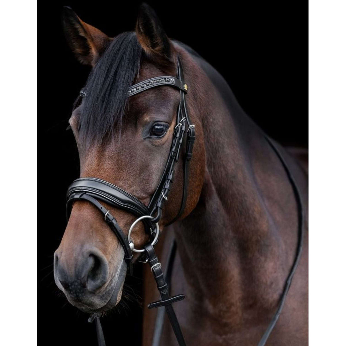 Waldhausen Bridle S-Line Blackshine Black