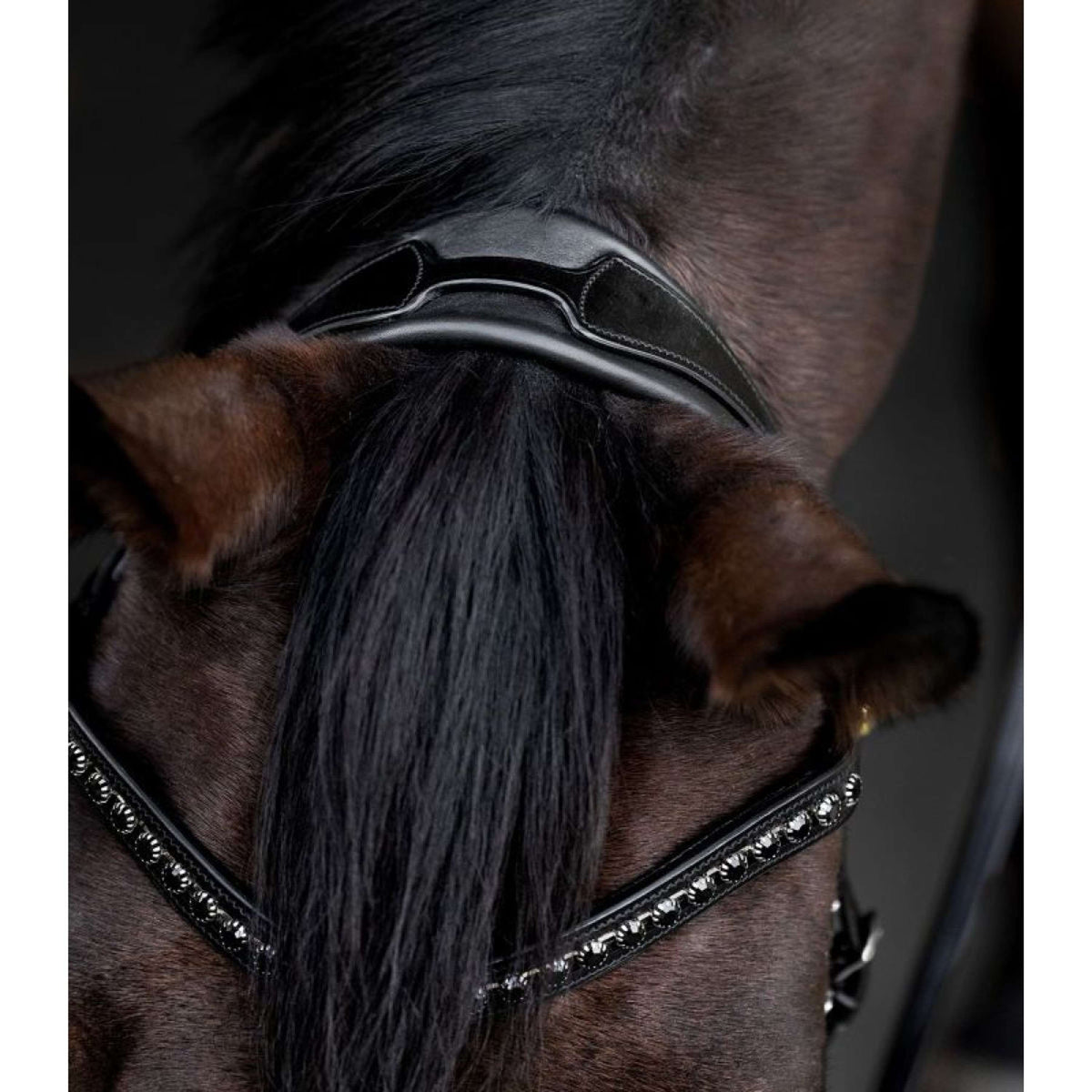 Waldhausen Bridle S-Line Blackshine Black