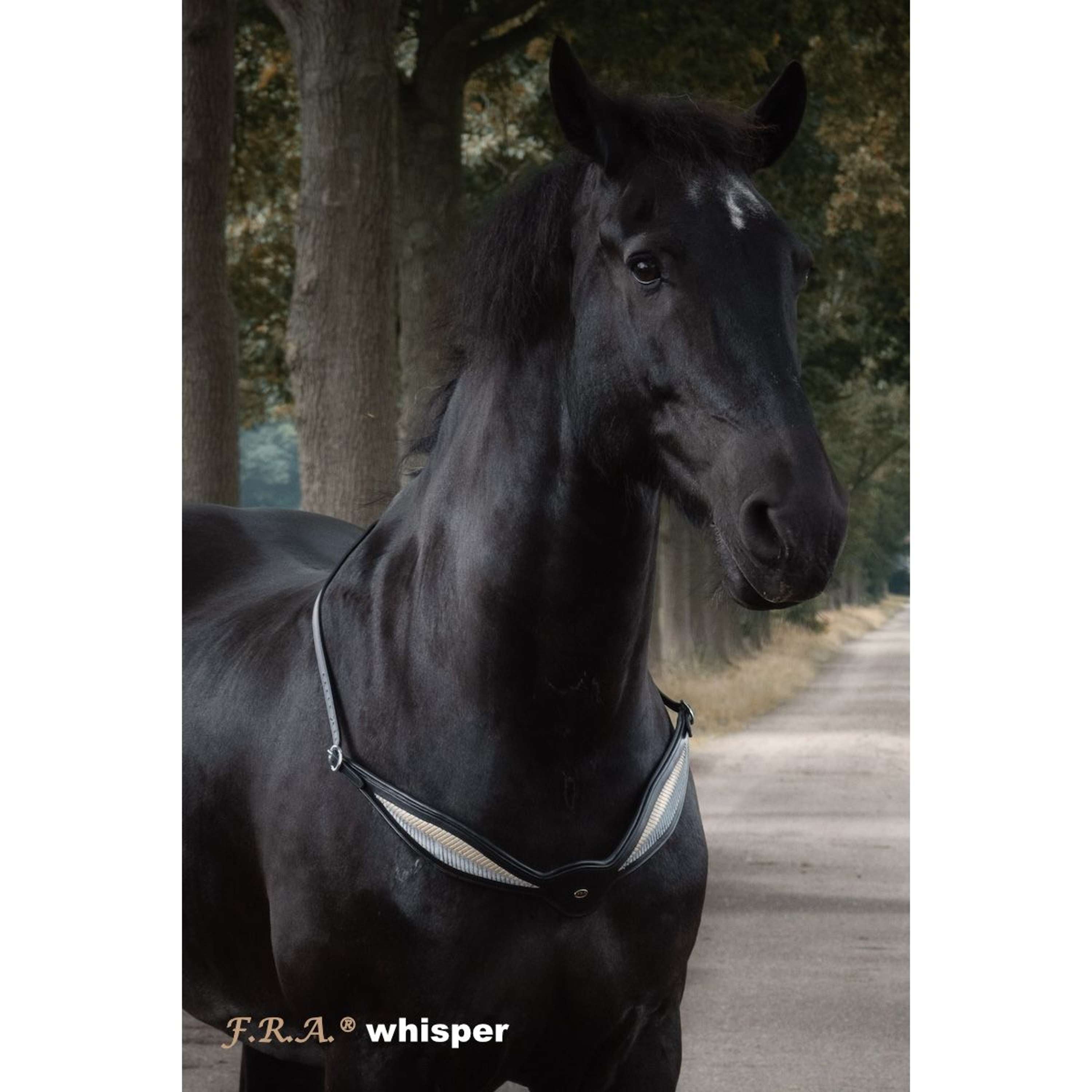 F.R.A. Balance rein Whisper Black