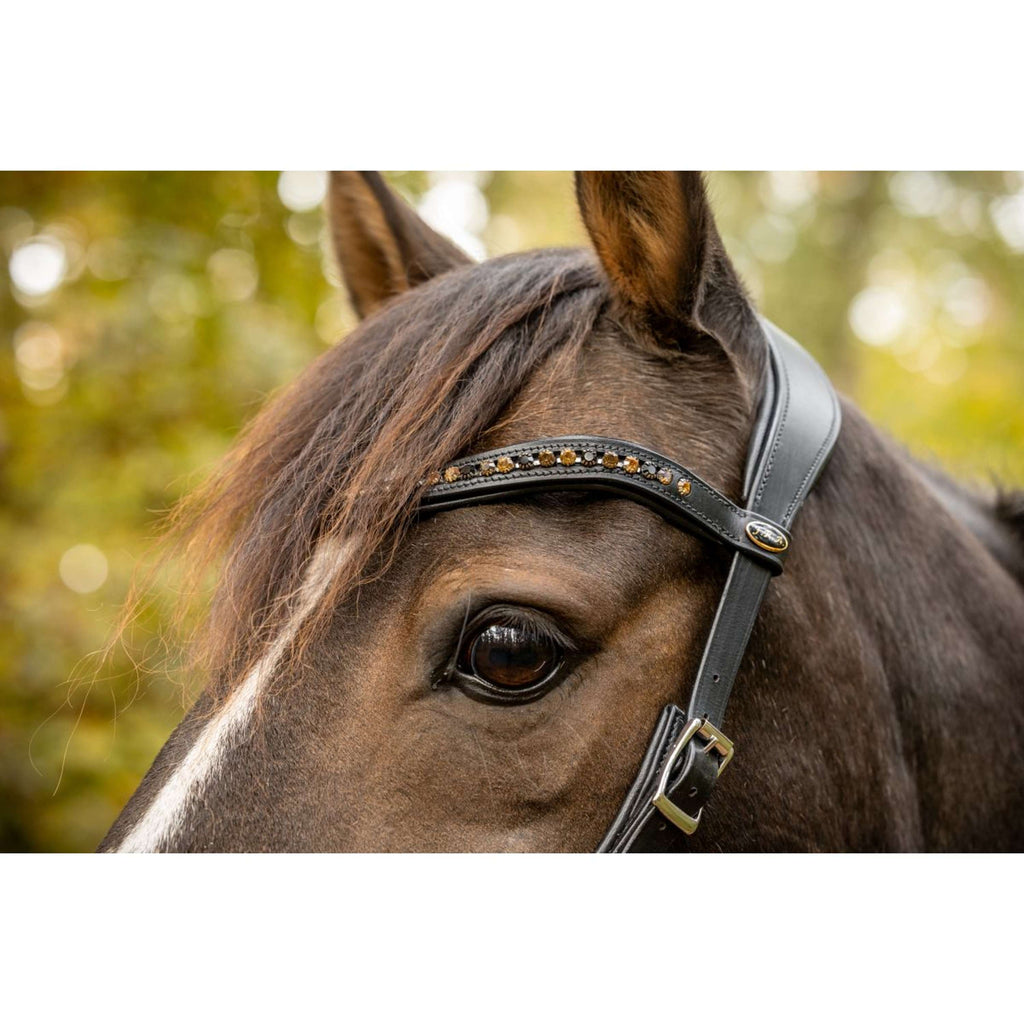 F.R.A. Bitless Bridle Moonlight Black