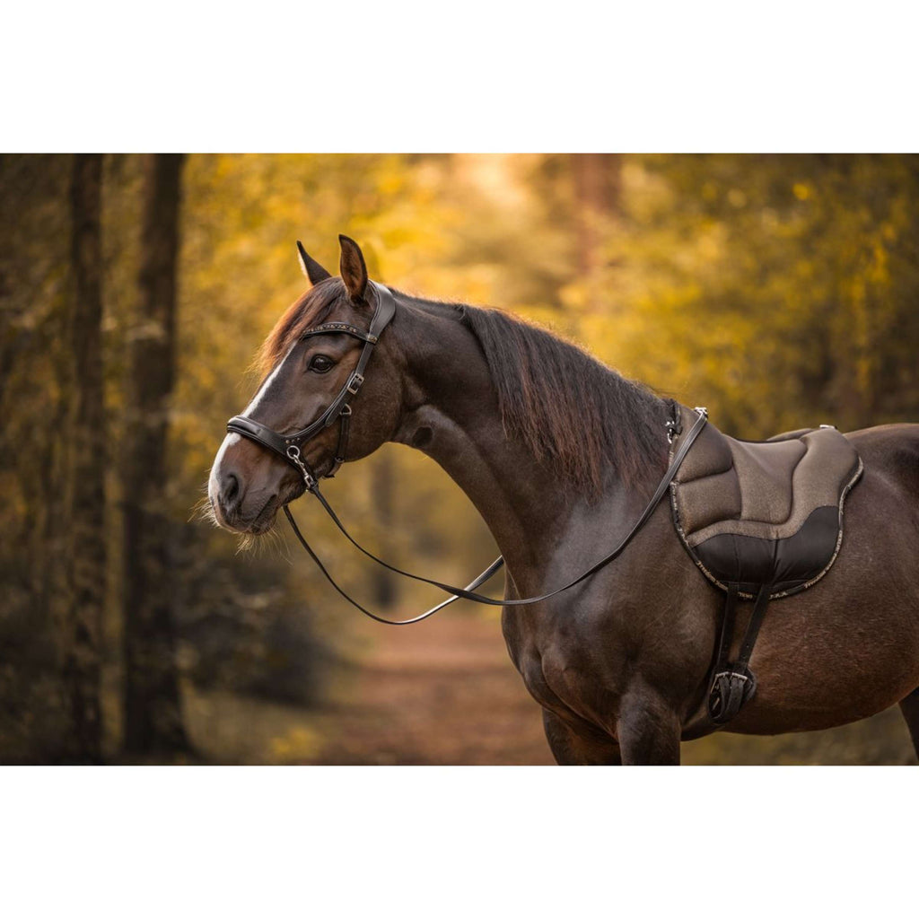 F.R.A. Bitless Bridle Moonlight Black